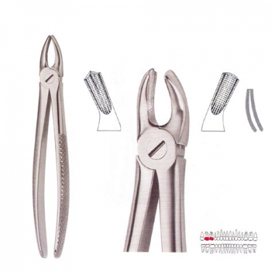 Extracting Forceps